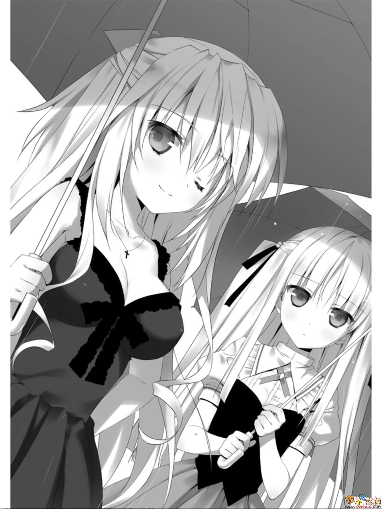 绝对双刃absoluteduo